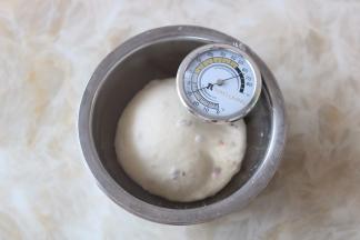 8.面团放入盆内盖保鲜膜进行第一次发酵  （第一次发酵的最佳温度是26-29度 湿度在75%）