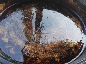 平底锅烧热，转中小火。