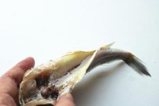 去掉内脏也鱼鳃。