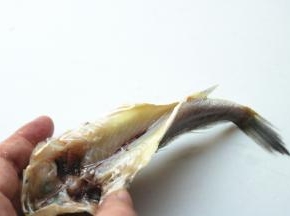 去掉内脏也鱼鳃。