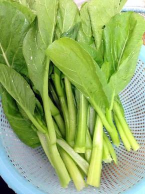 将菜心摘好洗净备用。