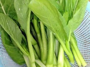 将菜心摘好洗净备用。