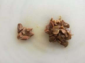 油渍橄榄去核切成丁