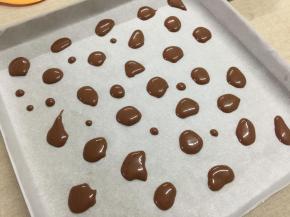 可可蛋糕糊装进一次性裱花袋内，在垫有油纸的烤盘上挤出不规则的图形