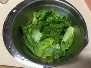 生菜洗净