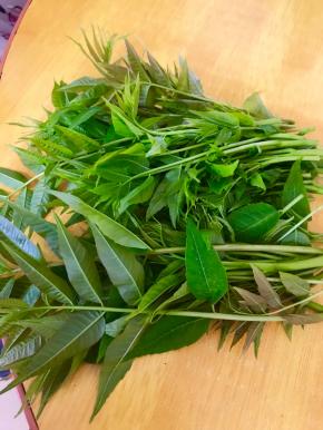 掐一部分嫩尖，洗干净