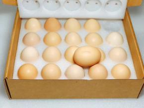 选择了首农的宝宝鸡蛋，口味更好