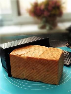 送进烤箱底部，上下火160度，30分钟；烤制完毕后马上取出，轻震一下，开盖脱模；倒扣在网架上晾凉。