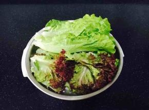 生菜、紫叶生菜