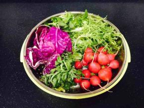 紫甘蓝、苦苣、水萝卜、冰草、芹菜叶