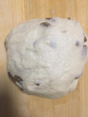 一发结束后，排气时，将葡萄干混合在面团里