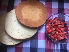 准备好8寸蛋糕坯，水果洗净切粒