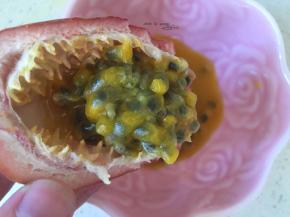 百香果取出果肉