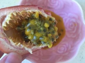 百香果取出果肉