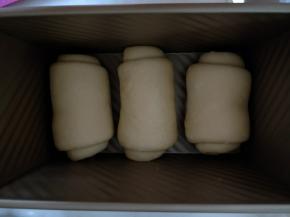 三个面团都做好收口向下同向放入吐司盒里。