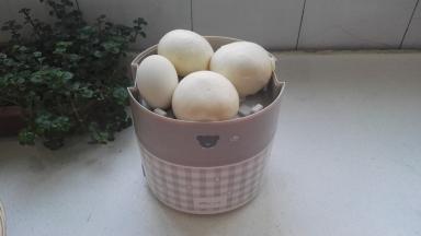 打开盖，取出馒头、咸鸭蛋。