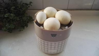 打开盖，取出馒头，咸鸭蛋。