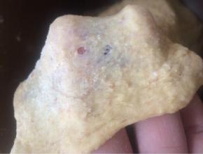 揉好后的面团拿一小块出来，能拉出厚厚的膜就可以了，无需薄膜。
然后面包机按发酵程序开始一发，发酵至2-2.5倍大，我这次发酵了38分钟，仅供参考。