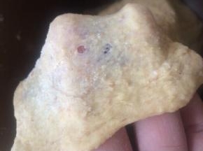 揉好后的面团拿一小块出来，能拉出厚厚的膜就可以了，无需薄膜。
然后面包机按发酵程序开始一发，发酵至2-2.5倍大，我这次发酵了38分钟，仅供参考。