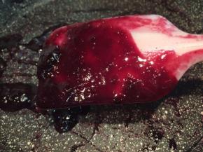 蓝莓煮到浓稠，刮刀提起，果酱不易滑落即可，如图。