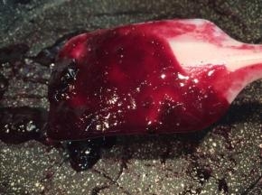 蓝莓煮到浓稠，刮刀提起，果酱不易滑落即可，如图。