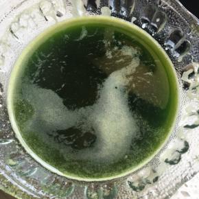 取60g菠菜汁备用