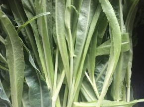 油麦菜清洗干净，沥去水分。