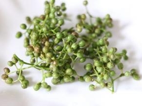 采摘新鲜花椒，洗干净控水。