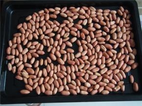 花生用烤箱烤熟或者在锅内炒熟