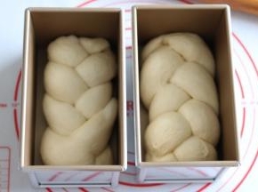放入吐司盒，加盖保鲜膜二次发酵。