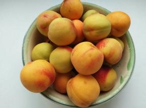 黄桃洗净(做长时间室温存放的罐头，黄桃要选择稍生点比较硬的那种桃子，那些熟透的桃子适合煮来立刻吃)