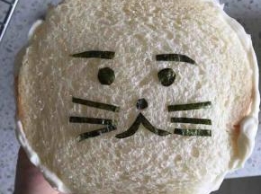 小狮子的脸那一片吐司片的周边抹上一圈沙拉酱