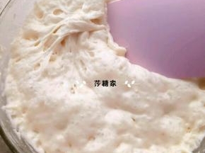 波兰种所有材料混和盖保鲜膜放冰箱冷藏20小时左右.里面都是小汽泡就好了.
