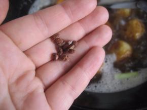 加入8粒花椒；