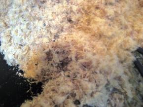 用木铲或筷子不停翻炒猪肉丝（两手各拿一双筷子翻炒，这样可以使肉丝受 热更均匀）；猪肉丝中水份较多，开始炒时会有些费劲，但经过30多分钟 的不停翻炒，猪肉丝中的水份逐渐蒸发，肉丝会变得越来越蓬松。在快炒好 时可加入熟的黑芝麻，继续炒至肉丝变成金黄色的肉松；