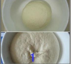 中种面团材料混合揉成光滑面团，套上保鲜袋，放冰箱冷藏发酵17小时；