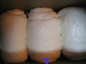 卷好的面团放入吐司模内，套上保鲜袋，放温暖处发酵；