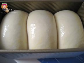 面团发酵至吐司模八分满，盖上盖，放入预热200度的烤箱中下层，烤45分钟（温度视自有烤箱情
   况来定）。