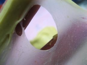 除黄油外的材料混合均匀（避免酵母和糖盐一同加入。水的份量可先添加2/3，余下1/3做为视情况添加），放冰箱冷藏30分钟后取出；将面团揉至光滑状，加入软化的黄油，继续揉到完全阶段（可拉出坚韧透明的薄膜，抻开的洞口光滑无锯齿)，加入山核桃碎揉匀;