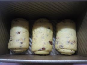 将卷好的面团放入吐司模中，套上保鲜膜，放温暖处发酵；