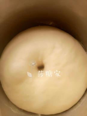 一发,发到两倍大.手指粘面粉在面团中间扎个眼.不回缩不塌陷就好了.大概50分钟左右.