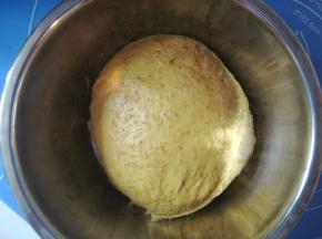 除炒干的胡萝卜渣和黄油外的材料混合揉成团，放入容器中，盖上保鲜膜室温静置40分钟；
   40分钟后取出面团揉摔至扩展阶段，加入软化的黄油揉至完全阶段；
   将胡萝卜渣加入面团揉匀，放入容器中，放温暖处发酵；