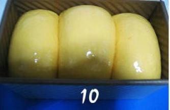 套上保鲜袋，发酵至模具九分满；