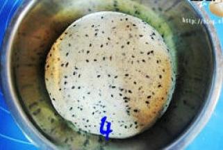 慢慢将黑芝麻与面团揉匀，收入容器中，盖上保鲜膜进行基础发酵（由于临时有事，我将在面团放在冰箱里冷藏发酵了17小时）；