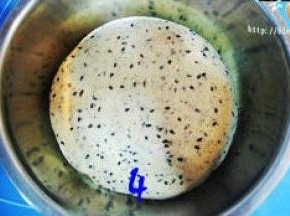 慢慢将黑芝麻与面团揉匀，收入容器中，盖上保鲜膜进行基础发酵（由于临时有事，我将在面团放在冰箱里冷藏发酵了17小时）；