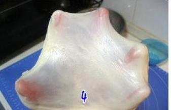 取出步骤3的面团，揉摔至扩展阶段（抻开的面团洞口呈锯齿状），加入软化的黄油，继续揉对完全阶段；