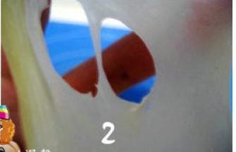 将发酵好的酵头与主面团中除黄油外的材料混合成团，放冰箱冷藏半小时后取出。把面团揉搓至面筋扩展，表面光滑，然后加入软化的黄油，将面团揉至扩展阶段；