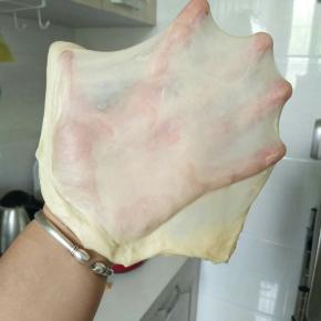 揉面20分钟之后，取出一小块面，检查是否可以出手套膜，如图一样面团也就可以了，破的小洞四周是光滑的边，那就可以不用再揉了。
