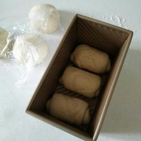 三个面团都卷好之后，就放入吐司盒，接着放入烤箱，取一个深一点的碗，倒入热水，进行二发（天热不用开烤箱电源，发酵到30分钟，可以重新换热水。）二发大概1小时左右。