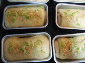 盖上保鲜膜，放温暖处发酵至2倍大。表面刷上蛋液，撒上葱花和芝麻；
     烤箱预热180度，中层，烤20分钟。
    温度和时间根据自家烤箱情况灵活掌握。